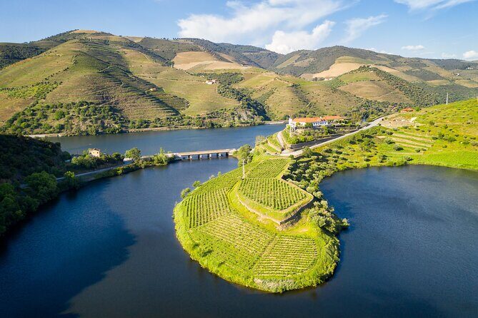 From Porto: Private Douro Valley Tour - Who Will Love This Tour?