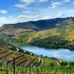 From Porto: Régua to Porto River Cruise with Lunch on Board - An In-Depth Look at the Experience