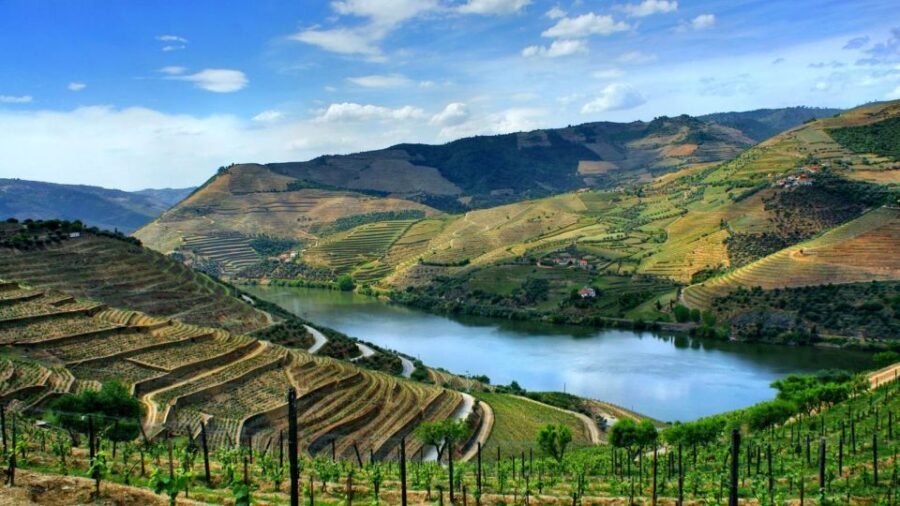 From Porto: Régua to Porto River Cruise with Lunch on Board - An In-Depth Look at the Experience