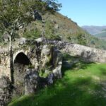 From Porto: Small Group Day Tour of Geres Park with Picnic - The Experience — A Deep Dive