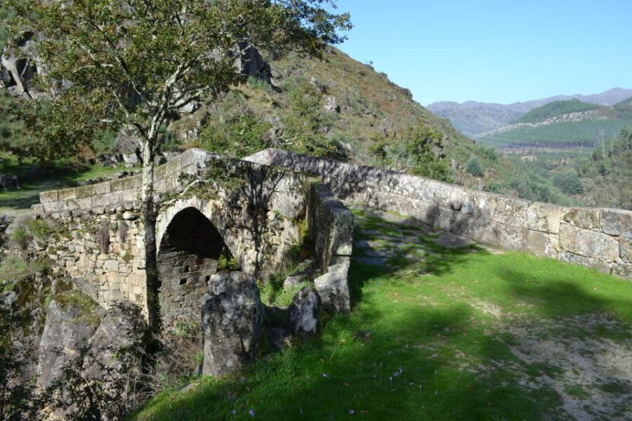 From Porto: Small Group Day Tour of Geres Park with Picnic - The Experience — A Deep Dive