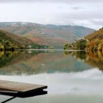 From Porto to Pinhão, Walk & Wine Tour - Wine & Food: Authentic Flavors