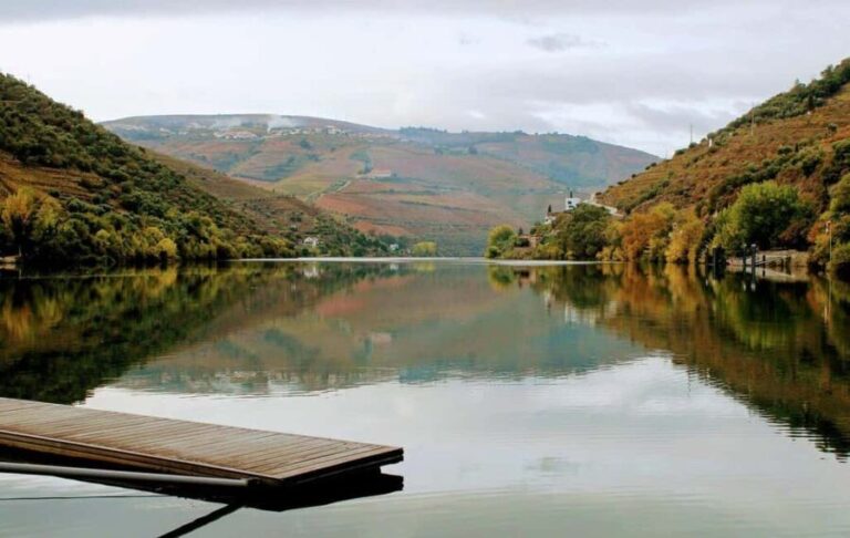 From Porto to Pinhão, Walk & Wine Tour - Wine & Food: Authentic Flavors