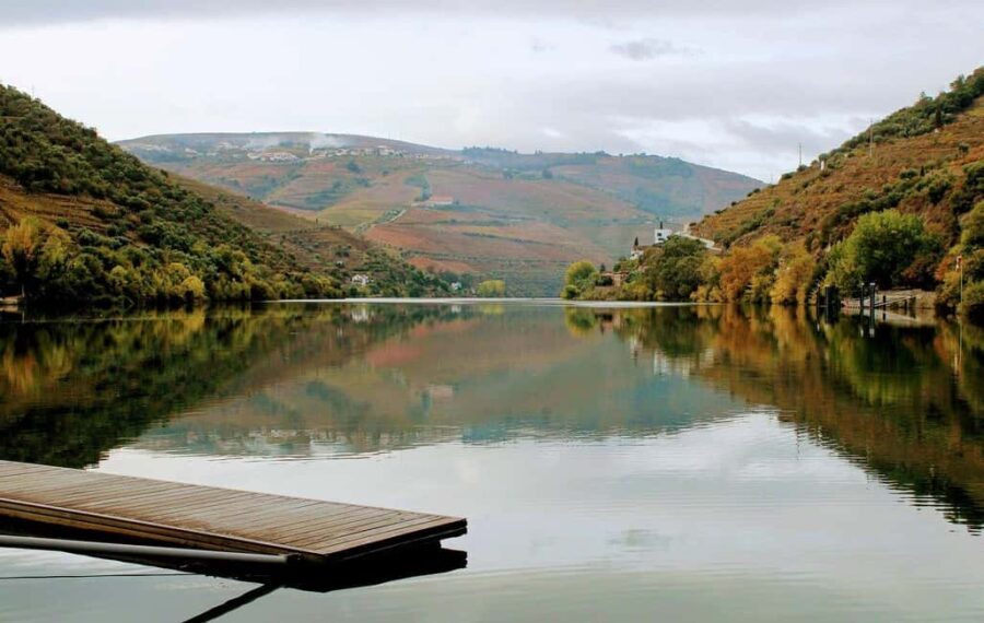 From Porto to Pinhão, Walk & Wine Tour - Wine & Food: Authentic Flavors