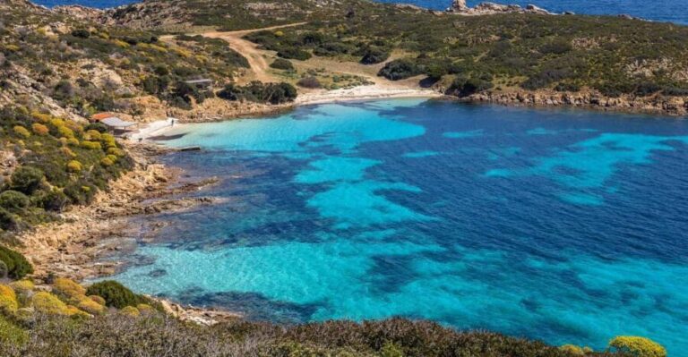 From Porto Torres: electric bicycle rental - Authentic Experiences and Practical Tips