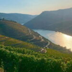 From Porto: Valle del Duero Full-Day Private Tour - The Journey Through the Douro Valley