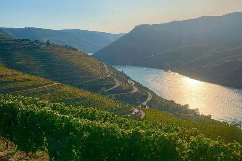 From Porto: Valle del Duero Full-Day Private Tour - The Journey Through the Douro Valley