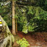 From Prague: Bohemian Paradise - Full-Day Hiking Trip - Authentic Voices and Past Experiences
