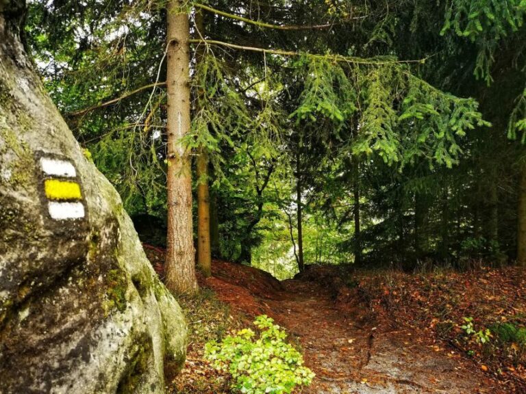 From Prague: Bohemian Paradise - Full-Day Hiking Trip - Authentic Voices and Past Experiences