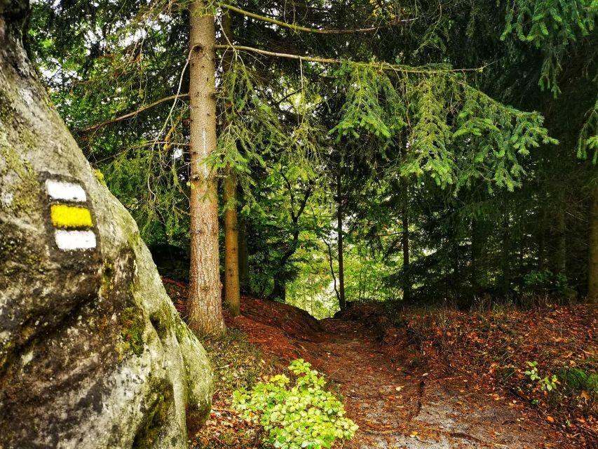 From Prague: Bohemian Paradise - Full-Day Hiking Trip - Authentic Voices and Past Experiences