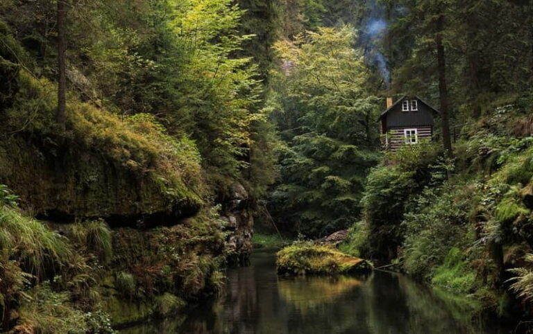 From Prague: Bohemian & Saxon Switzerland All-Inclusive Tour - Who Will Love This Tour?