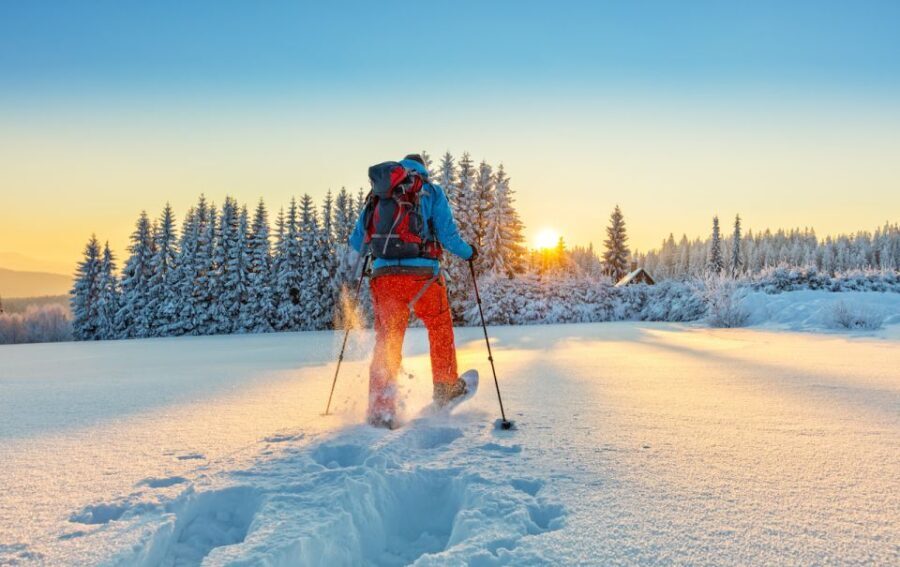 From Prague: Guided Snowshoe Tour with Mountain Views - Why This Tour Offers Real Value