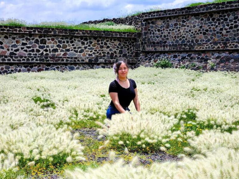 From Puebla: TEOTIHUACAN PRIVATE TOUR - What Makes This Tour Stand Out?