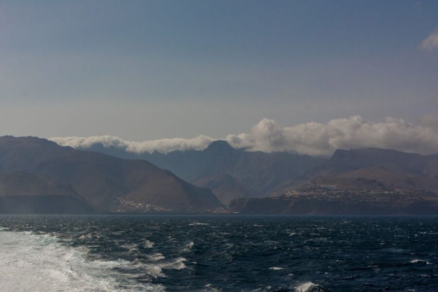 From Puerto de La Cruz: Full-Day Vip Tour to Gomera - An In-Depth Look at the Gomera Full-Day VIP Tour