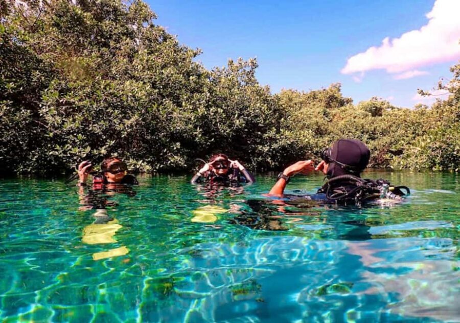 From Puerto Morelos: Ocean Reef Snorkeling - Final Thoughts: Is It Worth It?