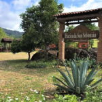 From Puerto Vallarta: Full-Day Tour to San Sebastian - Practical Details and What to Expect