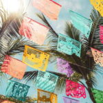 From Puerto Vallarta: San Pancho and Sayulita - Authentic Experiences and Genuine Value
