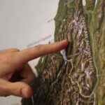 From Queenstown: Milford Sound Flight and Nature Cruise - Authentic Experiences Highlighted in Reviews