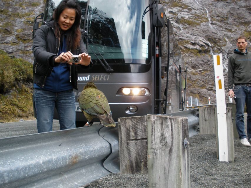 From Queenstown: Milford Sound Premium Day Tour and Cruise - Why This Tour Stands Out