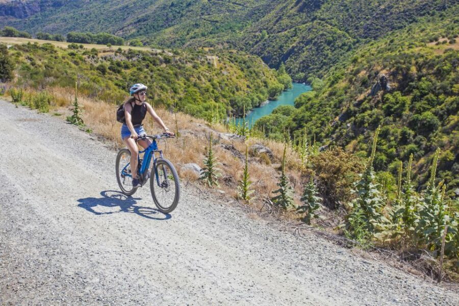 From Queenstown: 'Valley of the Vines' Wine and Bike Tour - Exploring the Valley of the Vines: A Detailed Look