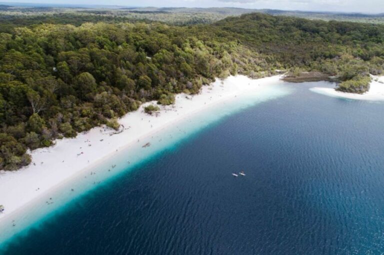 From Rainbow Beach: K'gari, Fraser Island Two-Day Coach Tour - An In-Depth Look at the Fraser Island Experience