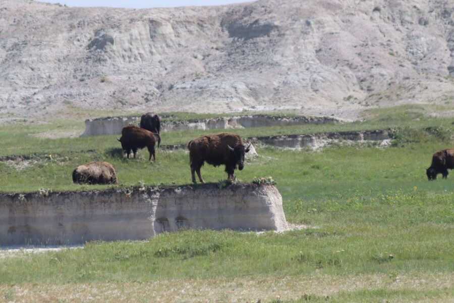 From Rapid City: Sunset, Stars and Silhouettes