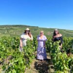From Reims/Epernay: Private Gold Champagne Tasting Tour - Exploring the Heart of Champagne: An In-Depth Review