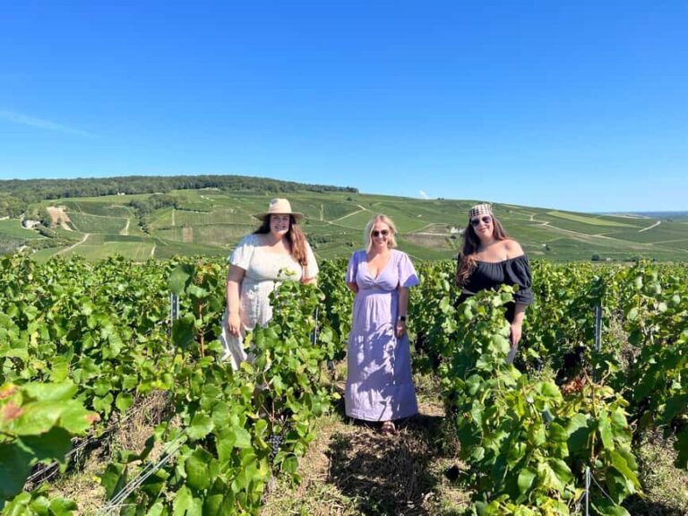 From Reims/Epernay: Private Gold Champagne Tasting Tour - Exploring the Heart of Champagne: An In-Depth Review