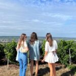 From Reims/Epernay: The Connoisseurs Private Tour 9 tastings - Why This Tour Offers Great Value