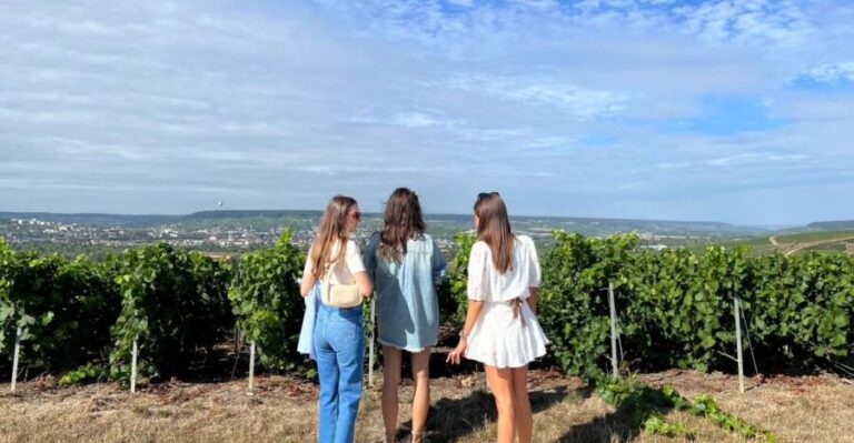 From Reims/Epernay: The Connoisseurs Private Tour 9 tastings - Why This Tour Offers Great Value