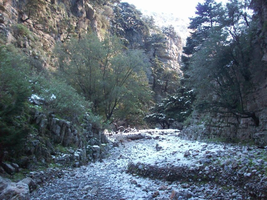 From Rethymno: Imbros Gorge & Libyan Guided Sea Tour - Authenticity and Value