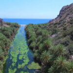 From Rethymno: Preveli Palm Forest, Damnoni and Plakias Tour - The Value of the Experience