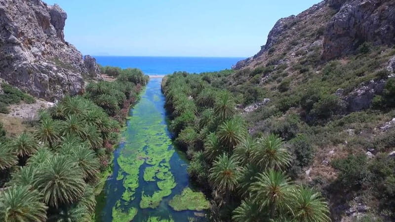 From Rethymno: Preveli Palm Forest, Damnoni and Plakias Tour - The Value of the Experience