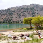 From Rethymno: Souda Bay Boat Tour with Lake Kournas Stop - Who Should Consider This Tour?