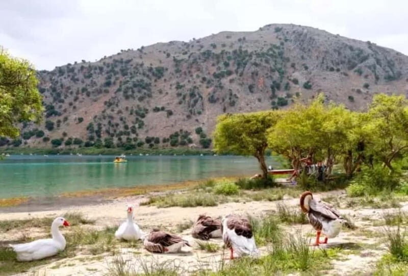 From Rethymno: Souda Bay Boat Tour with Lake Kournas Stop - Who Should Consider This Tour?
