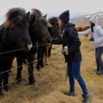From Reykjavik: 6-Day Small Group Tour of Iceland Summer - The Value and Who It’s For