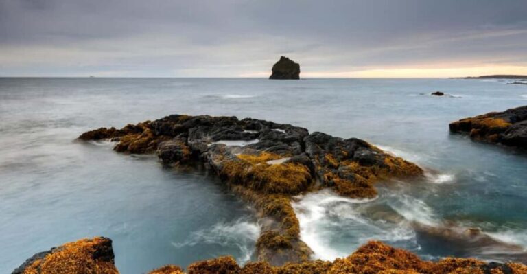 From Reykjavik: Blue Lagoon and Reykjanes Peninsula Tour - Who Should Consider This Tour?