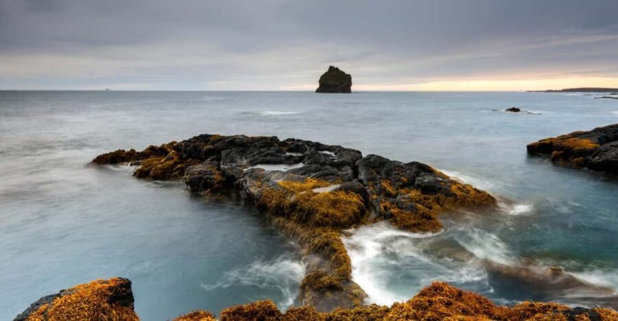 From Reykjavik: Blue Lagoon and Reykjanes Peninsula Tour - Who Should Consider This Tour?