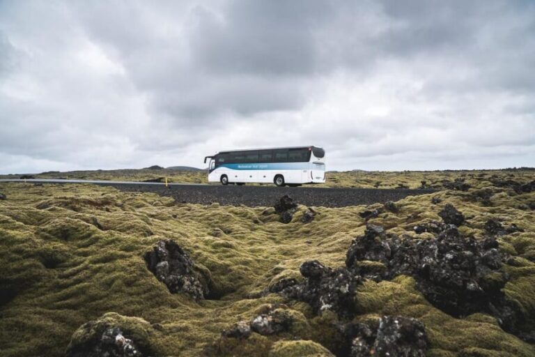 From Reykjavík: Blue Lagoon Premium Admission with Transfer - The Complete Guide to the Blue Lagoon Premium Tour