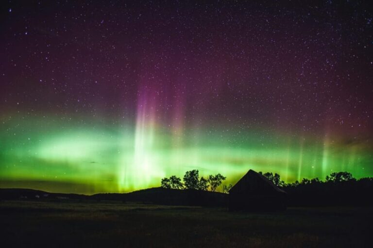 From Reykjavik: Golden Circle, Blue Lagoon & Northern Lights - Practical Details & Tips