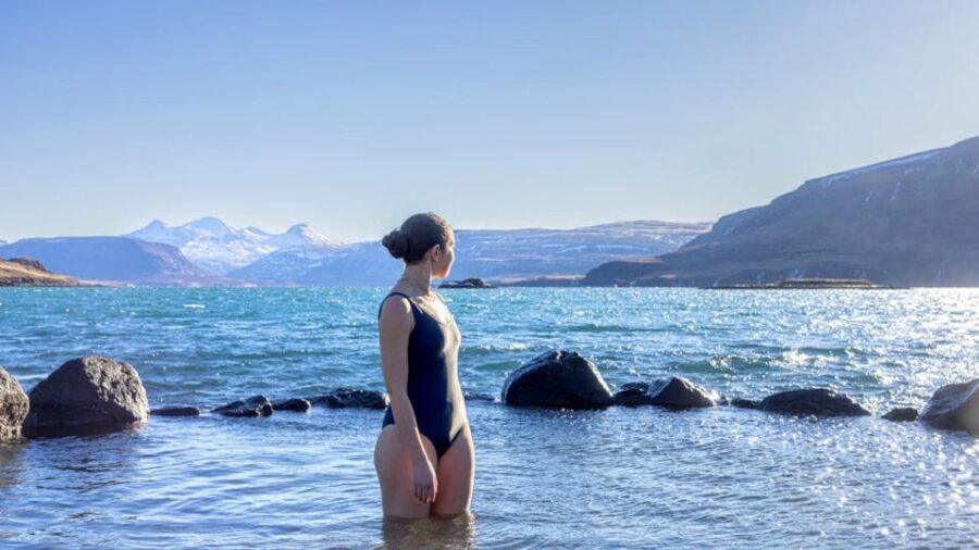 From Reykjavík: Golden Circle Route & Hvammsvik Hot Spring - Who Should Consider This Tour?