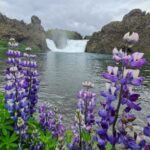 From Reykjavik: Highlands Jeep Tour & Landmannalaugar Hike - The Sum Up