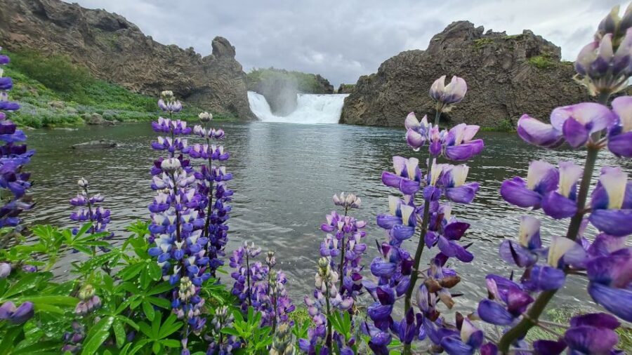 From Reykjavik: Highlands Jeep Tour & Landmannalaugar Hike - The Sum Up