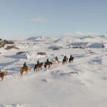 From Reykjavík: Icelandic Horse Riding Tour in Lava Fields - From Reykjavík: Icelandic Horse Riding Tour in Lava Fields