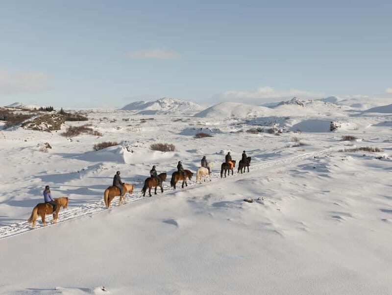 From Reykjavík: Icelandic Horse Riding Tour in Lava Fields - From Reykjavík: Icelandic Horse Riding Tour in Lava Fields