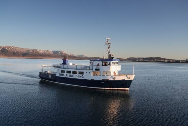 From Reykjavik: New Years Fireworks by Boat - An In-Depth Look at the New Year’s Fireworks by Boat Tour