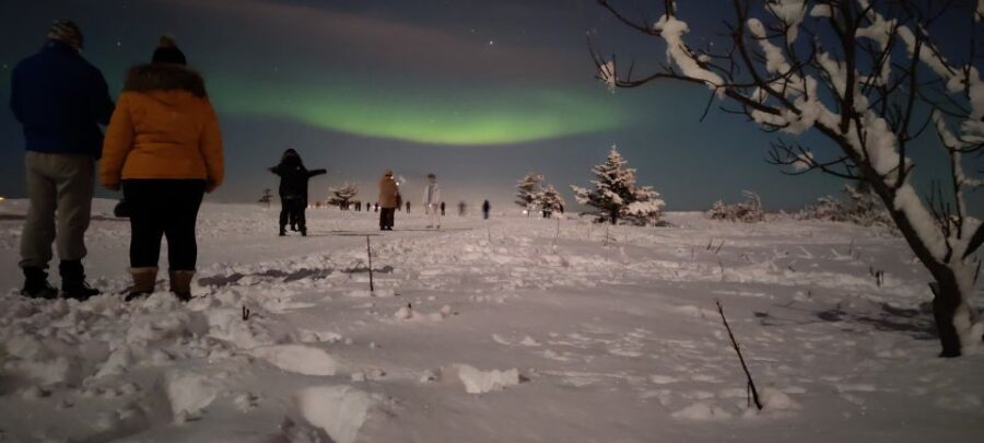 From Reykjavik: Northern Lights Tour - Who Should Consider This Tour?