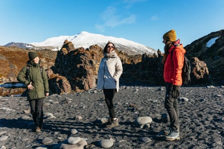 From Reykjavik: Snæfellsnes Peninsula Full-Day Tour - A Deep Dive into the Snæfellsnes Peninsula Full-Day Tour
