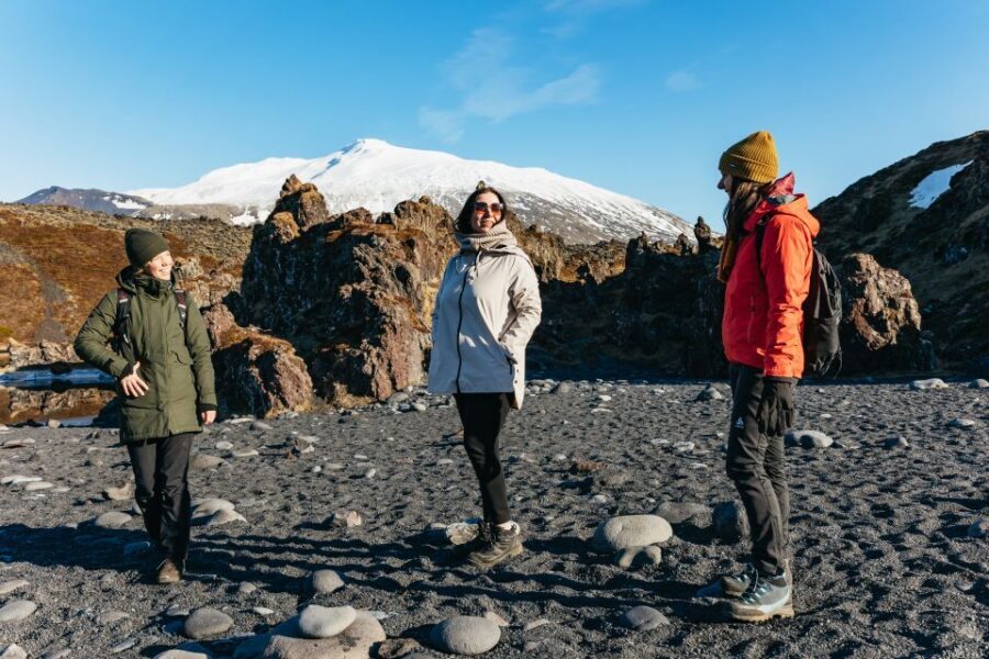 From Reykjavik: Snæfellsnes Peninsula Full-Day Tour - A Deep Dive into the Snæfellsnes Peninsula Full-Day Tour