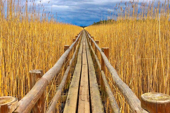 From Riga: Best of Kemeri National Park In One Day - An In-Depth Look at the Kemeri National Park Tour